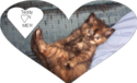 Image.png image by Hillaryluv14